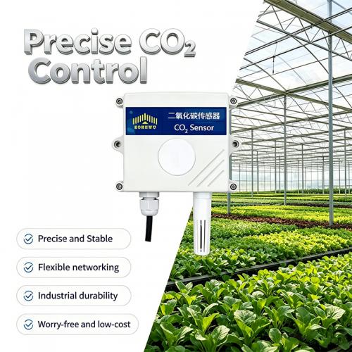 CO₂ Sensor, Gas Detection, Environmental Monitoring
