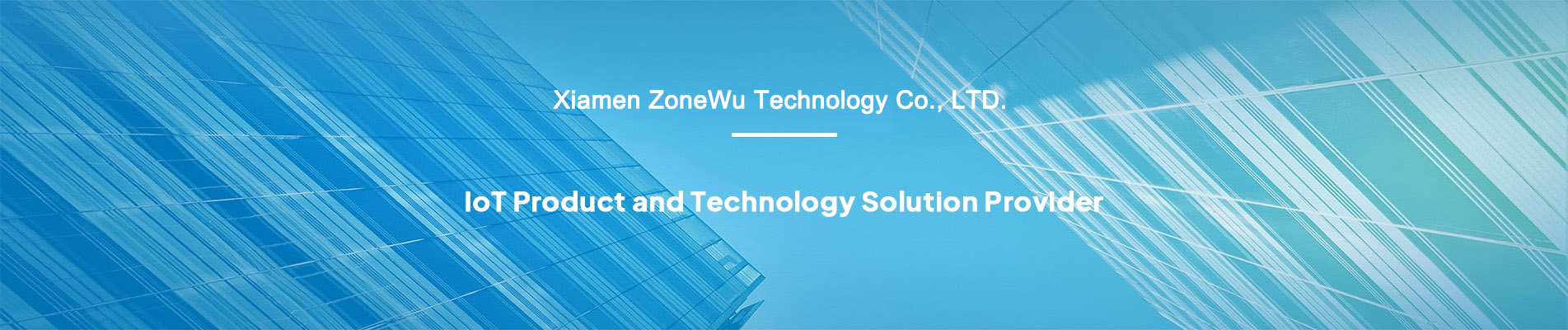 IoT product and technology solution provider