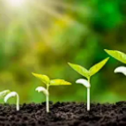 How to choose Soil EC Sensors suitable for agricultural applications?