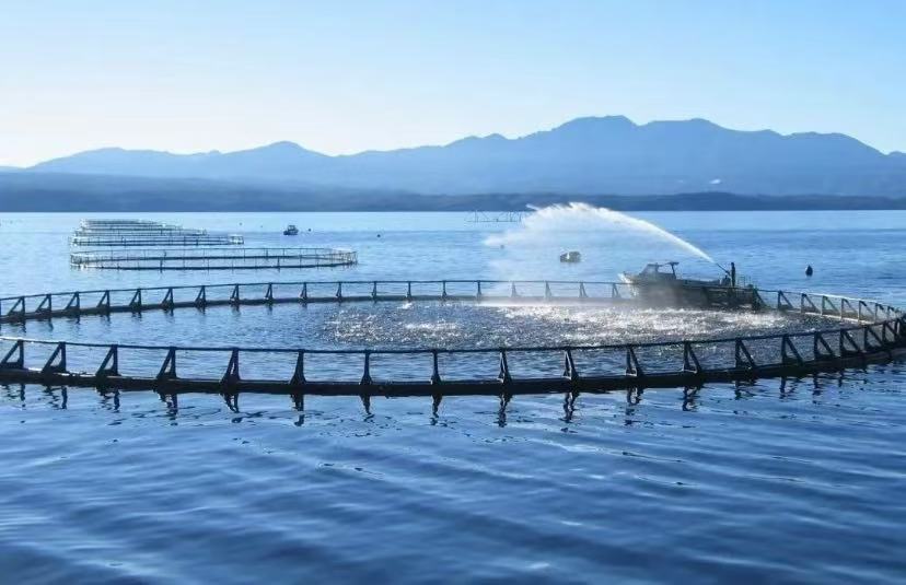 From Rivers to Waterworks: The Key Role of Water Quality Sensors in Smart Water Management